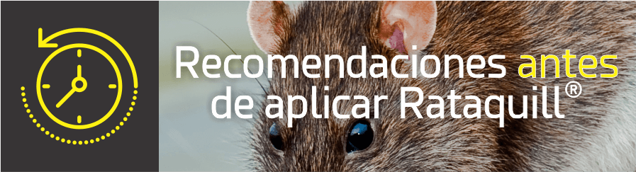 RecomendacionesAntesdeAplicarRataquill