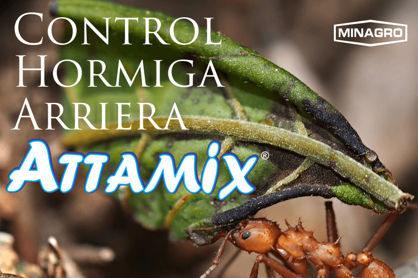 ControlHormigaArrieraAttamix