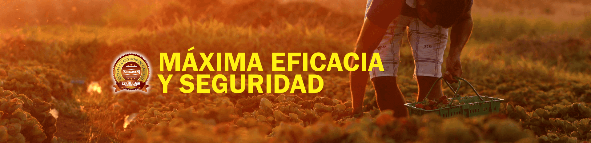 AgroquimicosenColombiaMinagroIndustriaQuimicaPlaguicidasInsecticidad