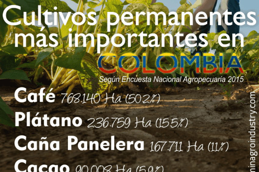 CultivosAgricolasmasimportantesenColombia