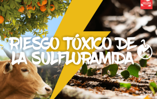 Riesgo toxico de la sulfluramida