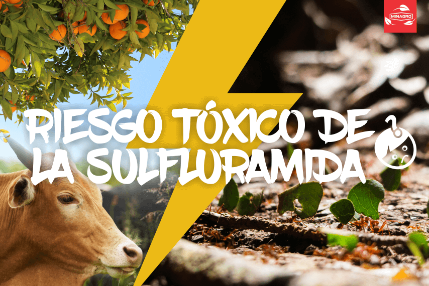 Riesgo toxico de la sulfluramida