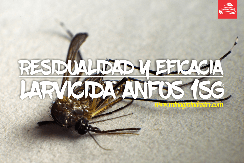 Residualidad y Eficacia Larvicida Temephos Anfos