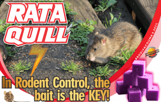 Rodenticide Bait Block